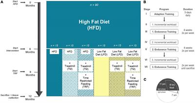 The effect of different weight loss strategies to treat non-alcoholic fatty liver disease focusing on fibroblast growth factor 21